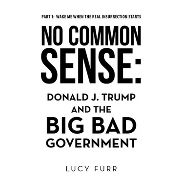 No Common Sense: Donald J. Trump and the Big Bad Government