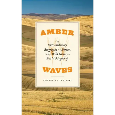 Amber Waves: The Extraordinary Biography of Wheat, from Wild Grass to World Megacrop