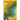 Ecological Memory
