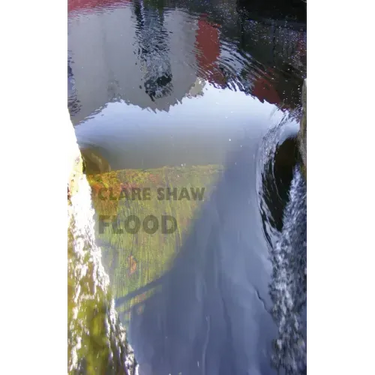 Flood