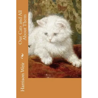 Our Cats and All About Them