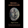 Voices of Gnosticism: Interviews with Elaine Pagels, Marvin Meyer, Bart Ehrman, Bruce Chilton and Other Leading Scholars