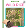 Wild Rice