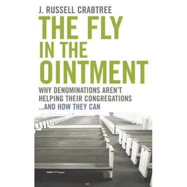 The Fly in the Ointment: Why Denominations Aren't Helping Their Congregations...and How They Can