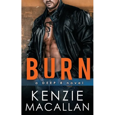 Burn: a Romantic Military Suspense novel