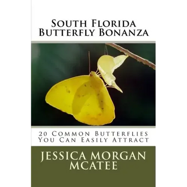 South Florida Butterfly Bonanza: 20 Common Butterflies You Can Easily Attract
