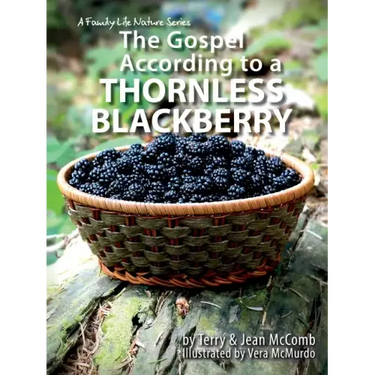 The Gospel According to a Blackberry