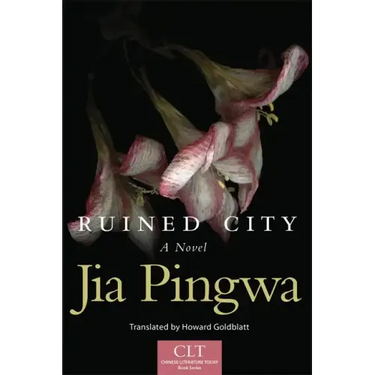 Ruined City, Volume 5