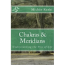 Chakras & Meridians