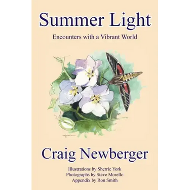 Summer Light: Encounters with a Vibrant World