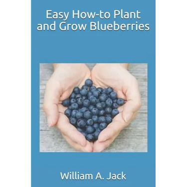 Easy How-To Plant and Grow Blueberries