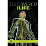 Hardwired for Life: Human Understanding Beyond Surface Personality