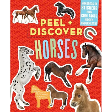Peel + Discover: Horses