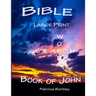 Bible Large Print Word Search: Book of John