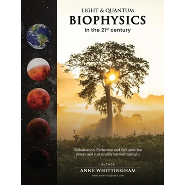 Light and Quantum Biophysics in the 21st Century: Cultures that revere and sustainably harvest Sunlight