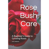 Rose Bush Care: A Beginner's Guide to Growing Roses