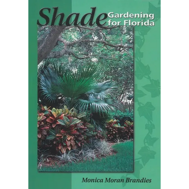 Shade Gardening for Florida
