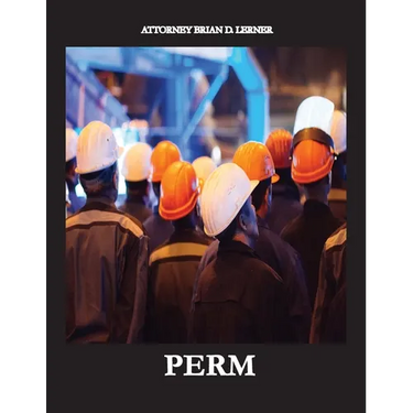 Perm: Electronic Labor Certifications for Employment Petitions
