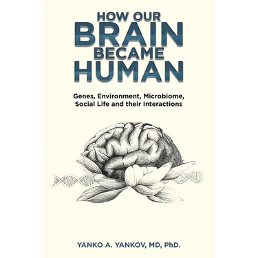 How Our Brain Became Human: Genes, Environment, Microbiome, Social Life and Their Interactions