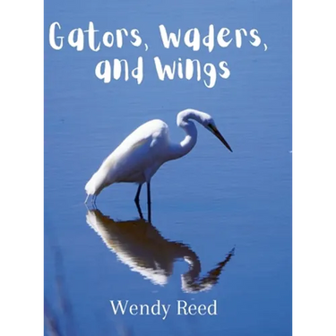 Gators, Waders, and Wings