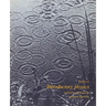 Introductory Physics: A Model Approach