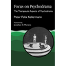 Focus on Psychodrama: The Therapeutic Aspects of Psychodrama