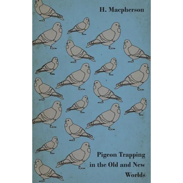 Pigeon Trapping in the Old and New Worlds
