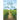 Walk With Me
