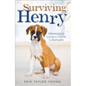 Surviving Henry: Adventures in Loving a Canine Catastrophe