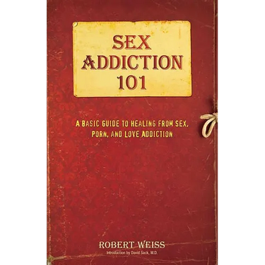 Sex Addiction 101: A Basic Guide to Healing from Sex, Porn, and Love Addiction