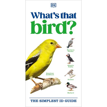 What's That Bird?
