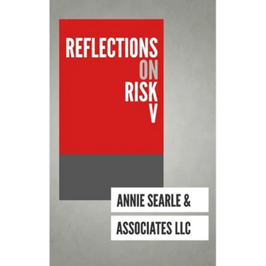 Reflections on Risk V