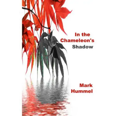 In the Chameleon's Shadow