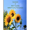 Cemeteries of Mann Township, Bedford County, Pennsylvania