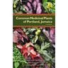 Common Medicinal Plants of Portland, Jamaica