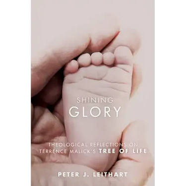 Shining Glory: Theological Reflections on Terrence Malick's Tree of Life