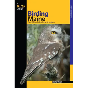 Birding Maine