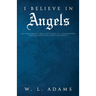 I Believe in Angels: The Miraculous True-Life Story of Catastrophic Vehicle Collision Survivor Ashley