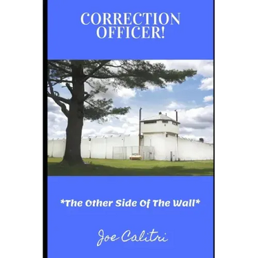 Correction Officer!: The Other Side Of The Wall