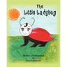 The Little Lady Bug