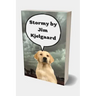 Stormy by Jim Kjelgaard: Winter in the Beaver Flowage was always harsh, with deep snow, bitter winds, and zero temperatures the rule rather tha