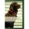 Kodiak ... A Chocolate Labrador Retriever and my best friend