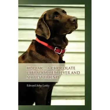 Kodiak ... A Chocolate Labrador Retriever and my best friend