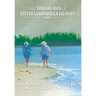 The Treasures of Little Gasparilla Island