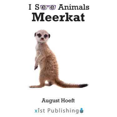 Meerkat