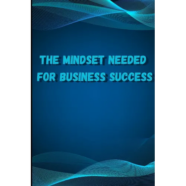 The Mindset Needed for Business Success: Discover the Minds of Successful Internet Entrepreneurs From Around the World/ The E-Entrepreneur Success Min