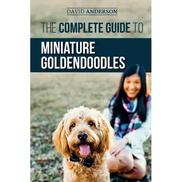 The Complete Guide to Miniature Goldendoodles: Learn Everything about Finding, Training, Feeding, Socializing, Housebreaking, and Loving Your New Mini