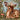 Little Deer: Educational Children's Picture Book About Deer Filled With Real Photos, Art, & Deer Facts