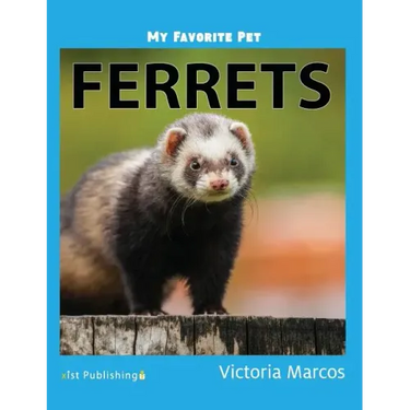 My Favorite Pet: Ferrets