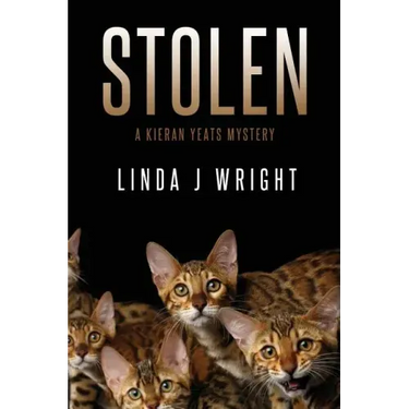 Stolen: A Kieran Yeats Mystery